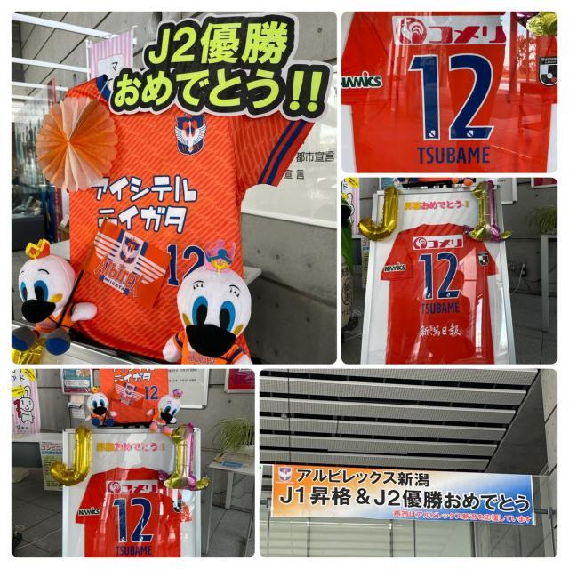 1666716339726050344.jpeg 3.jpeg